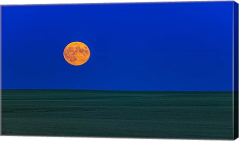 Framed Full Moonrise, Alberta, Canada Print