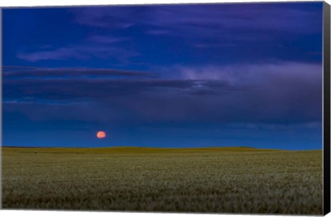 Framed Harvest Moon Rising, Alberta, Canada Print