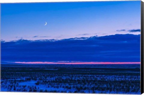 Framed Low Waxing Crescent Moon in the Evening Sky Print