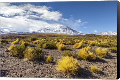 Framed Lascar Volcano in Chile Print