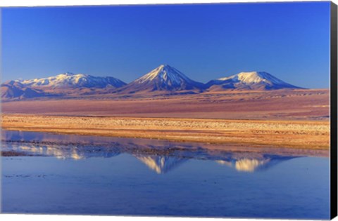 Framed Licancabur Stratovolcano Reflected in Laguna Tebinquinche, Chile Print