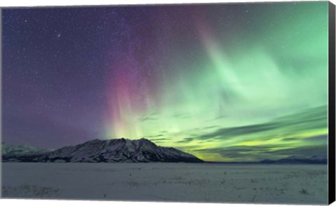 Framed Northern Lights Over Kluane Lake, Yukon, Canada Print