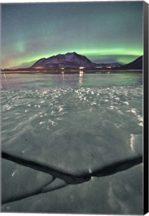 Framed Northern Lights, Carcross, Yukon, Canada Print