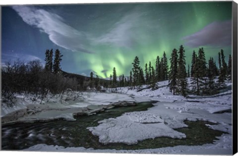 Framed Northern Lights Above Fish Lake, Whitehorse, Yukon, Canada Print