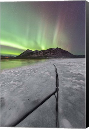 Framed Northern Lights, Carcross, Yukon, Canada Print