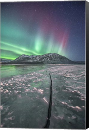 Framed Northern Lights, Carcross, Yukon, Canada Print