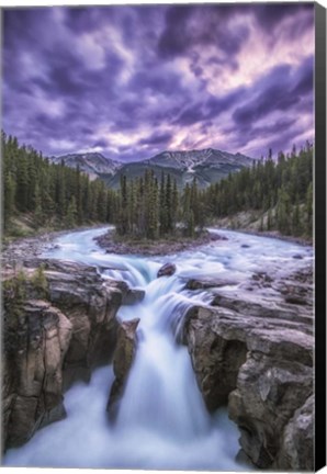 Framed Sunwapta Falls, Jasper National Park, Alberta, Canada Print