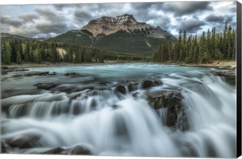 Framed Athabasca Falls,  Jasper National Park Print