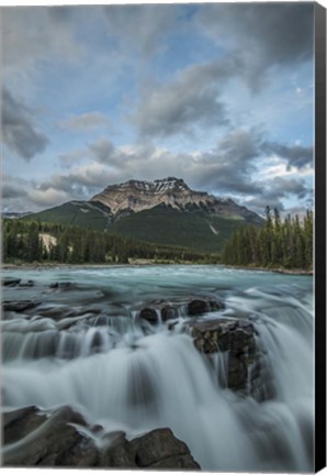 Framed Athabasca Falls, Alberta, Canada Print