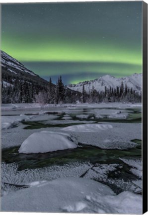 Framed Northern Lights, Annie Lake, Yukon, Canada Print