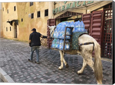 Framed Mule Carrying Water, Through the Medina in Fes, Morocco, Africa Print