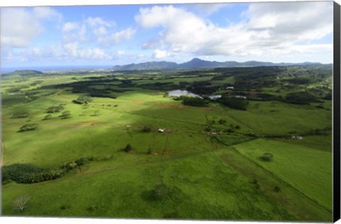 Framed Wailua River State Park Print