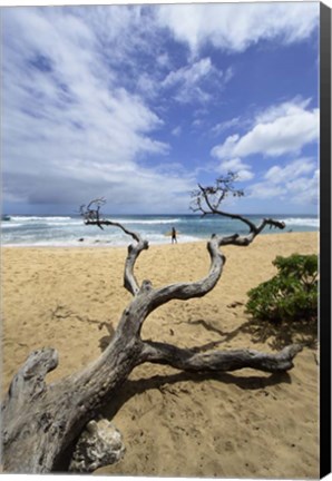 Framed Driftwood and Surfer on a Beach in Oahu, Hawaii Print