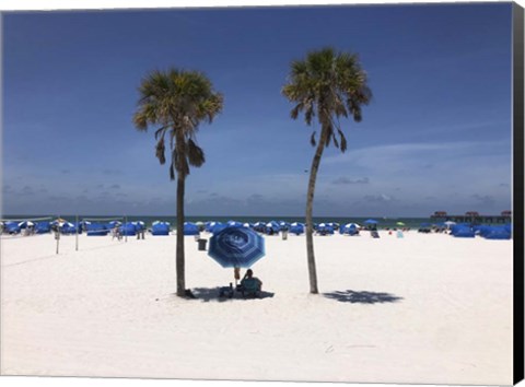 Framed Umbrella, Chairs and Palm Trees on Clearwater Beach, Florida Print