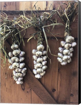 Framed Garlic Braids Hanging on a Barn Door Print