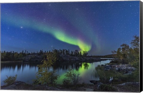 Framed Aurora in Twilight at Tibbitt Lake, Yellowknife Print