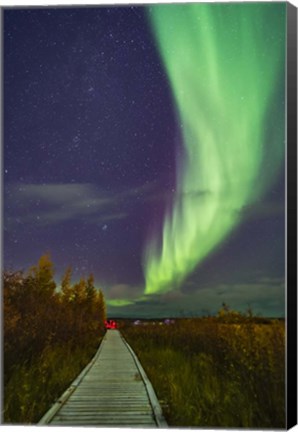 Framed Auroral Arc Over the Boardwalk at Rotary Park in Yellowknife Print