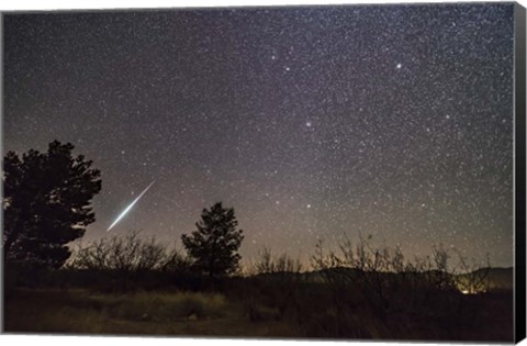 Framed Single Bright Meteor From the Geminid Meteor Shower of December 2017 Print