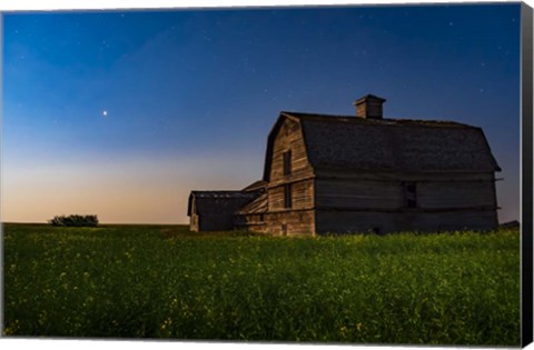 Framed Planet Mars Shining Over An Old Barn Amid a Field of Canola Print