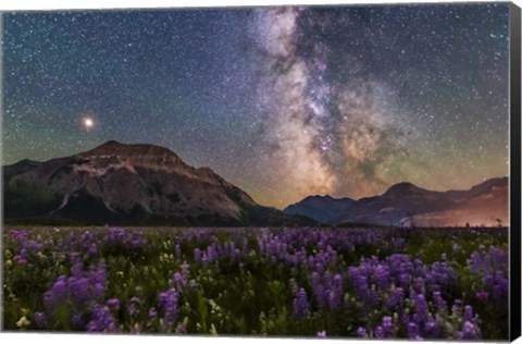 Framed Summer Milky Way and Mars Over Waterton Valley and Vimy Peak Print