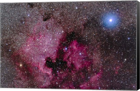 Framed North America Nebula Near Teh Bright Blue-White Star Deneb Print