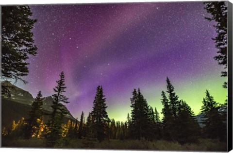 Framed Unusual STEVE Auroral Arc Across the Northern Sky at Bow LakeAlberta Print