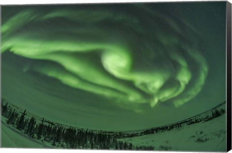 Framed Auroral Arcs, Loops and Swirls, Manitoba Print