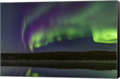 Framed Colorful Aurora in the Darkening Twilight Over Madeline Lake Print