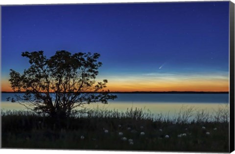 Framed Comet NEOWISE Over Deadhorse Lake Print