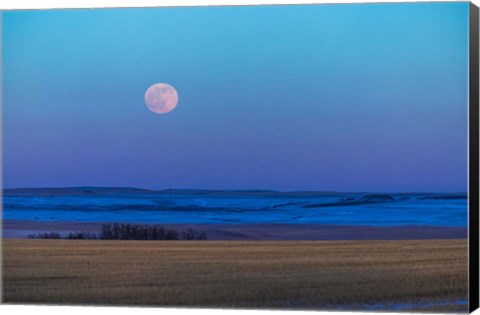 Framed Rising Full Moon Over the Alberta Prairie Print