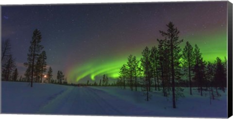 Framed Northern Lights in Lapland Forest, Finland Print