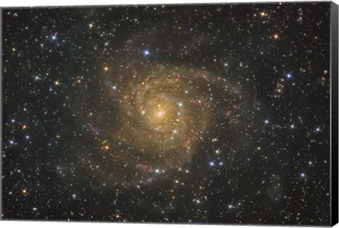 Framed Intermediate Spiral Galaxy IC 342 Print