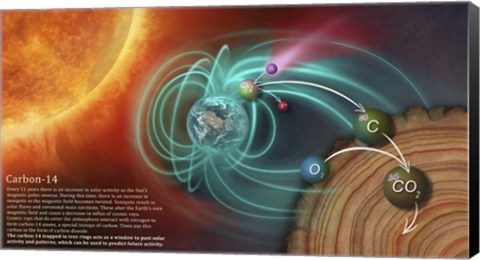 Framed Illustration Depicting the Creation of Carbon-14 and How It Becomes Locked in Tree Rings Print