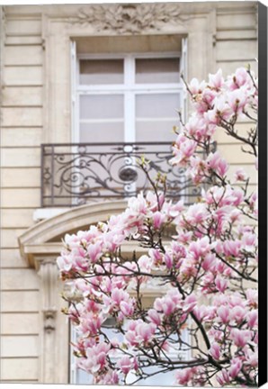 Framed Spring Magnolias in Paris Print