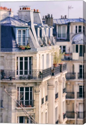 Framed Paris Apartment View Print