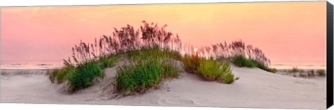 Framed Sea Oats Sun Print