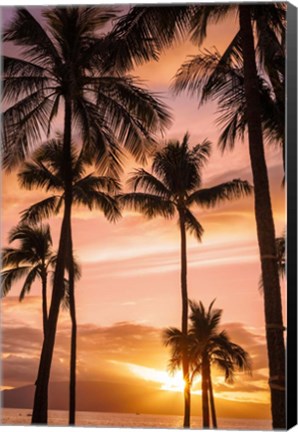 Framed Palm Trees At Sunset Of Maui, Hawaii Print