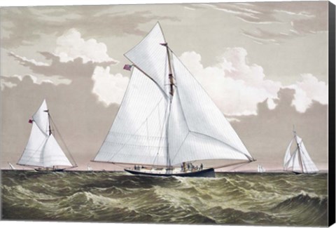 Framed America Cup sloop yachts Mischief and Atalanta engaged in a race, circa 1881 Print