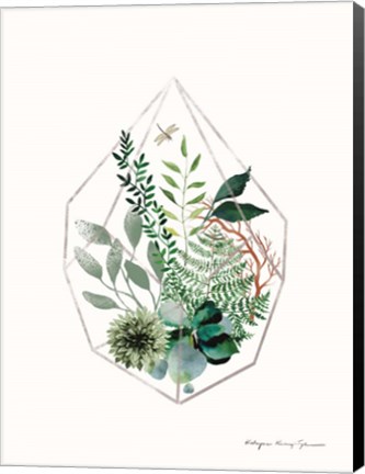 Framed Terrarium Print