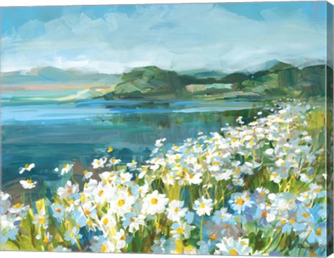 Framed Wild Daisy Bay Print