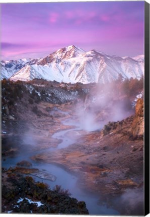 Framed Pink Eastern Sierra Print