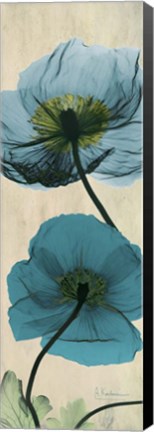 Framed Iceland Poppy Moments Print