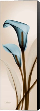 Framed Blue Calla Lily Print