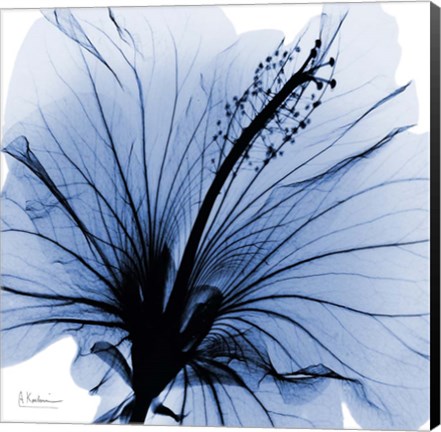Framed Indigo Hibiscus Turn Print