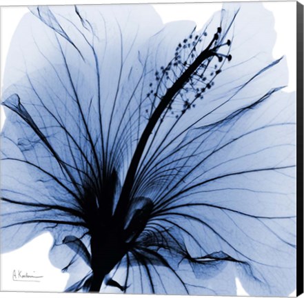 Framed Indigo Hibiscus Turn Print