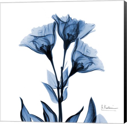 Framed Indigo Gentian Print