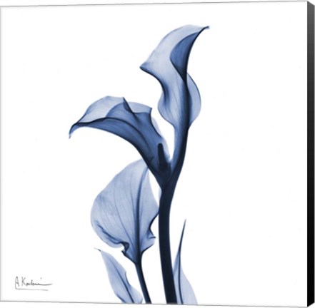 Framed Indigo Covered Calla Lily Print