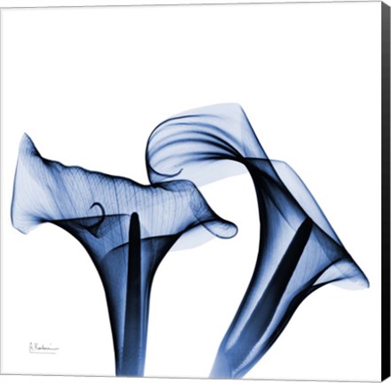 Framed Twin Indigo Calla Lilies Print