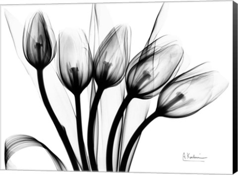 Framed Marching Tulips Print