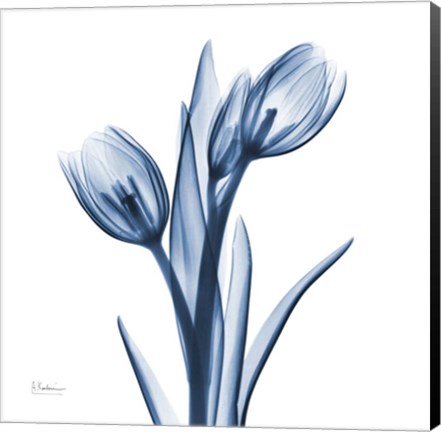 Framed Tulips Indigo Print